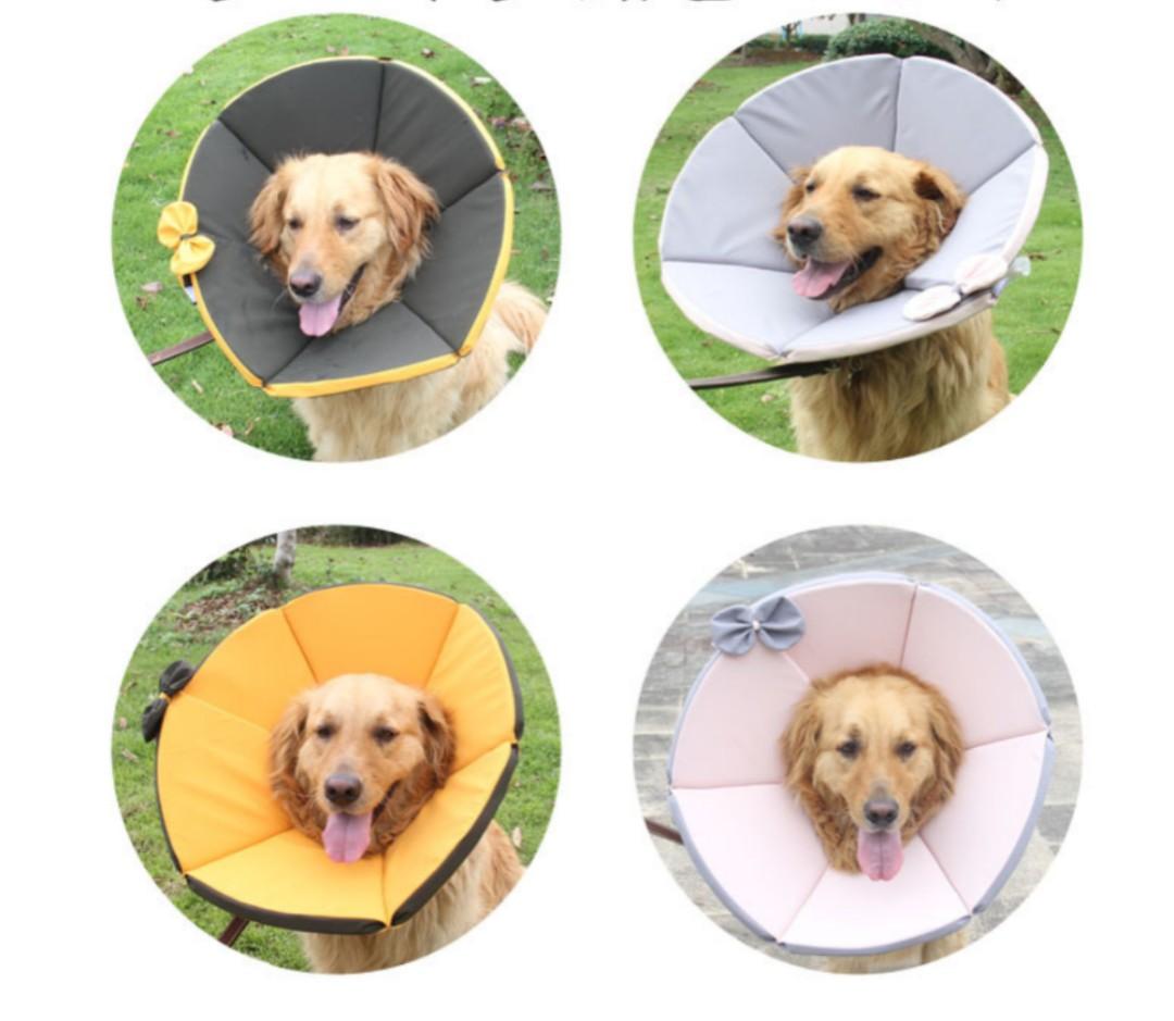 Large breed dog cone clearance