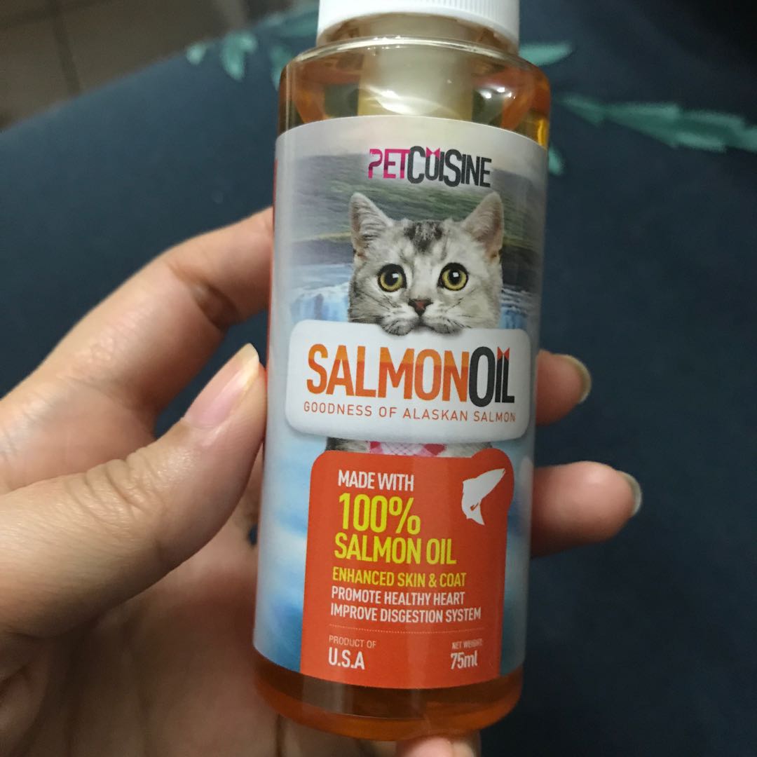 Salmon oil online for cats