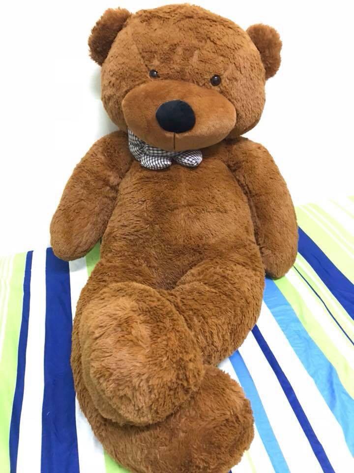 very big teddy