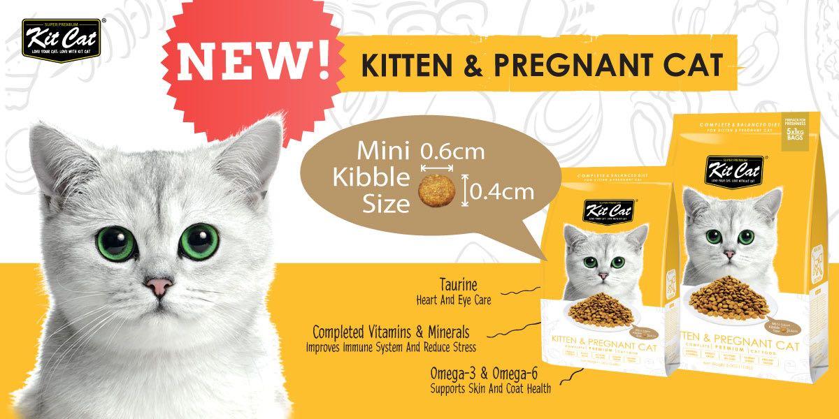 Biscuit Kibble Dry Food Kit Cat Kitten Pregnant Cat 1 2kg