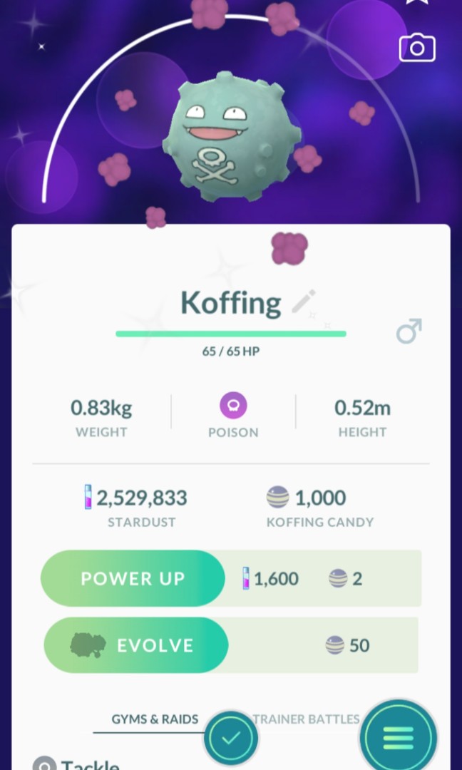 Pokemon Go Shiny Koffing Toys Games Video Gaming In Game Products On Carousell - pokemon roblox 529