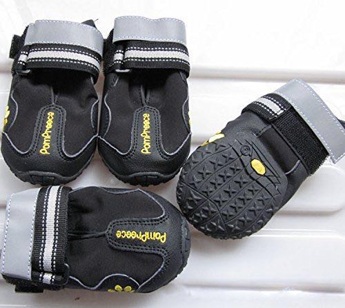 Pompreece dog shoes Pet Supplies Health Grooming on Carousell