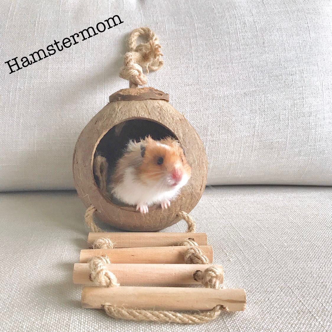 Coconut hamster house cheap
