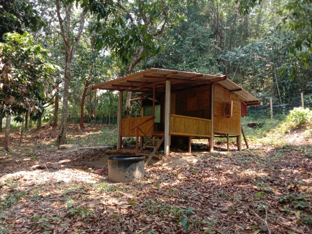 Tanah Kebun Untuk Dijual Mukim Johol Kuala Pilah Negeri Sembilan Property For Sale On Carousell