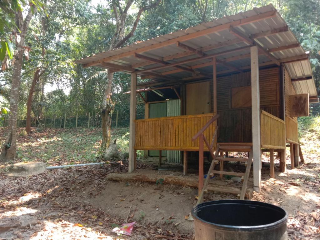 Tanah Kebun Untuk Dijual Mukim Johol Kuala Pilah Negeri Sembilan Property For Sale On Carousell