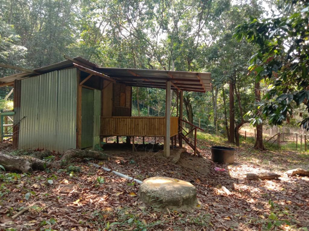 Tanah Kebun Untuk Dijual Mukim Johol Kuala Pilah Negeri Sembilan Property For Sale On Carousell