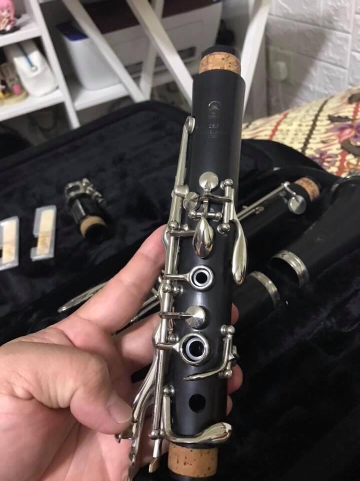 Yamaha YCL 250, Hobbies & Toys, Music & Media, Musical