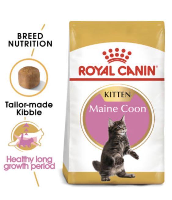 Royal Canin Kitten Maine Coon Dry Food 4kg Pet Supplies For Cats Cat Food On Carousell