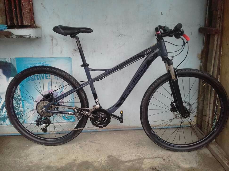 pinewood mtb 27.5