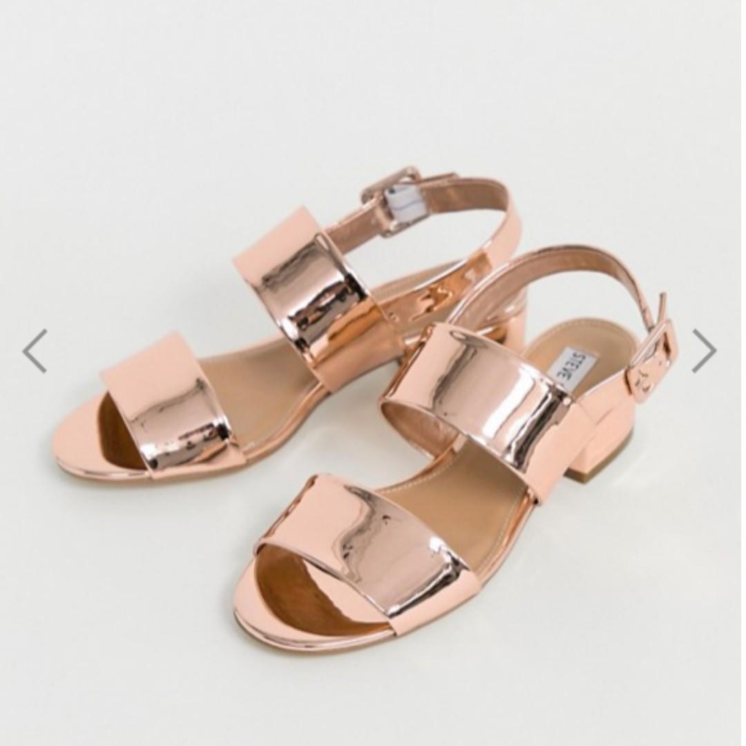 steve madden rose