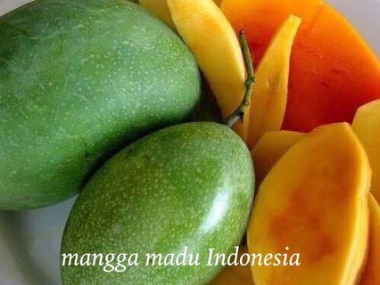 1000 Gambar Buah Mangga Kelapa Paling Baru 1000 Gambar Buah Mangga Kelapa Paling Baru