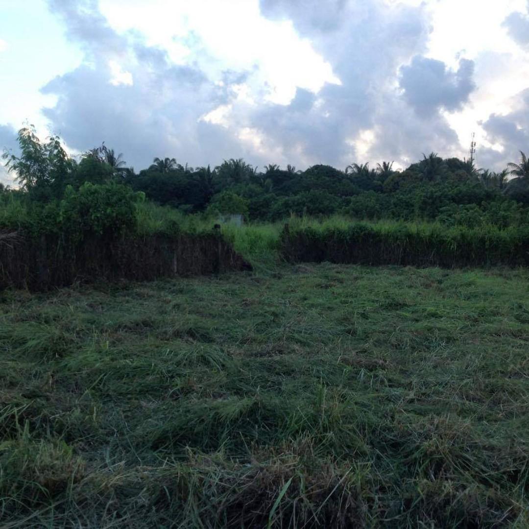 FOR SALE 500 SQM: Residential/Commercial Lot in Balanga ...