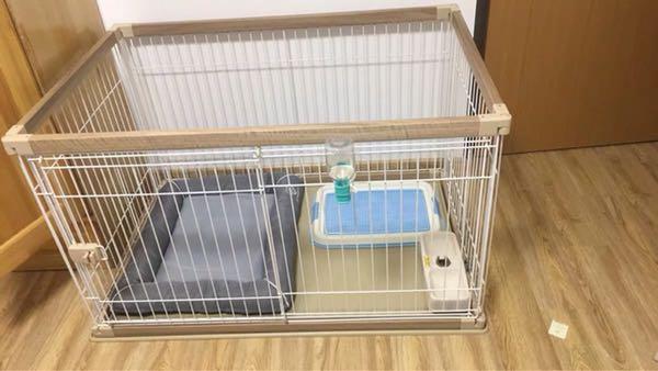 Iris dog on sale cage