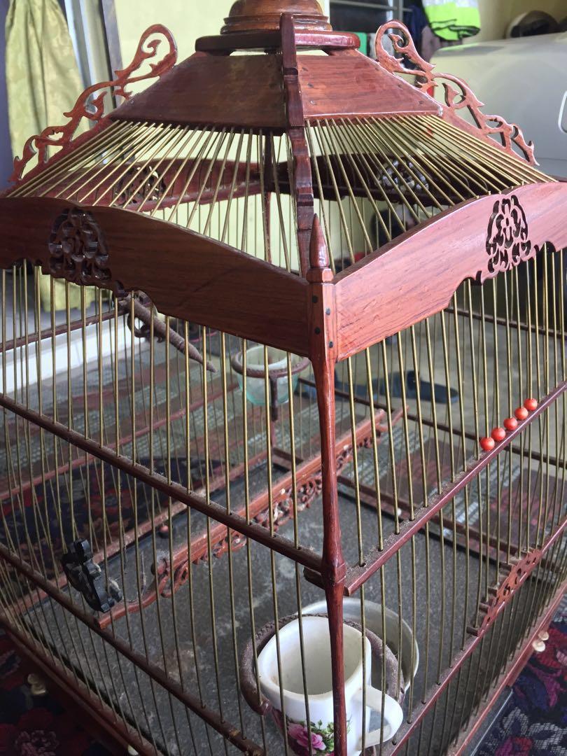Sangkar Burung Merbah Jambul On Carousell
