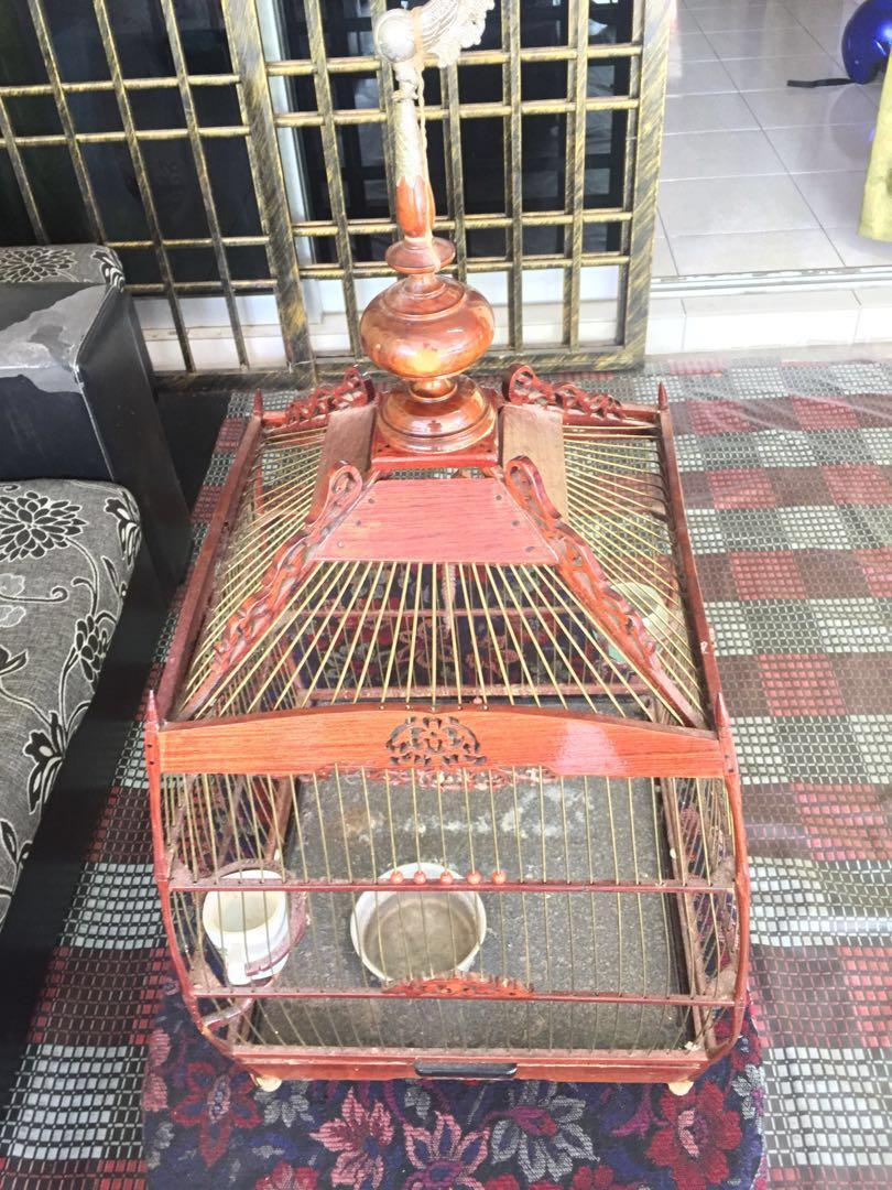 Sangkar Burung Merbah Jambul On Carousell