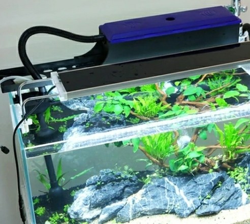 Sunsun JP-700G 3in1, Pet Supplies, Pet Food on Carousell