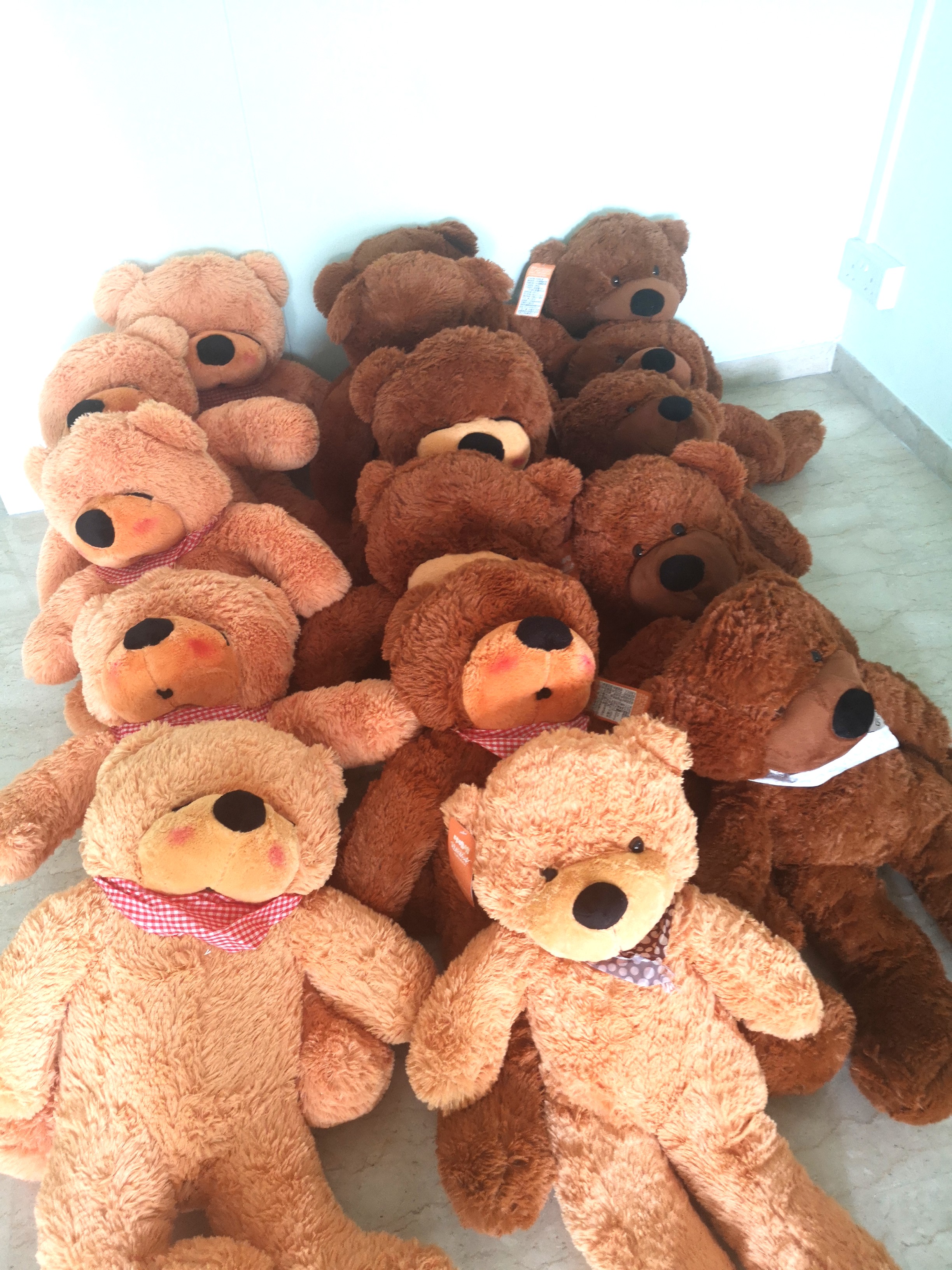 Brown teddy shop bears for sale