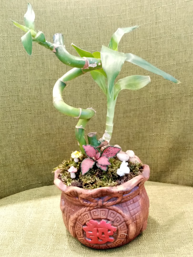 Feng shui terrarium, Furniture & Home Living, Home Decor, Artificial