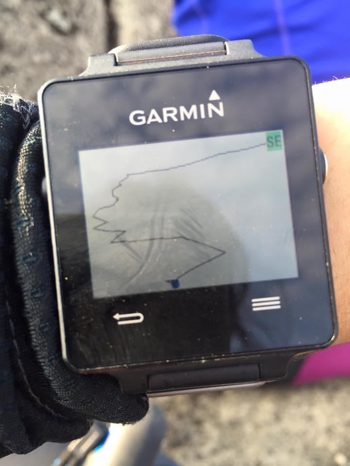 Garmin store vivoactive hiking