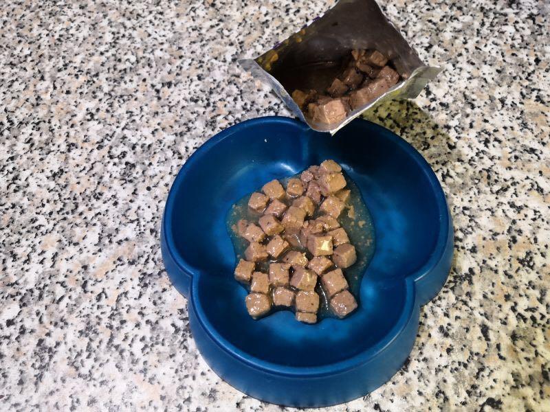Kattovit Renal Wet Cat Food Chicken Pet Supplies For Cats Cat Food On Carousell