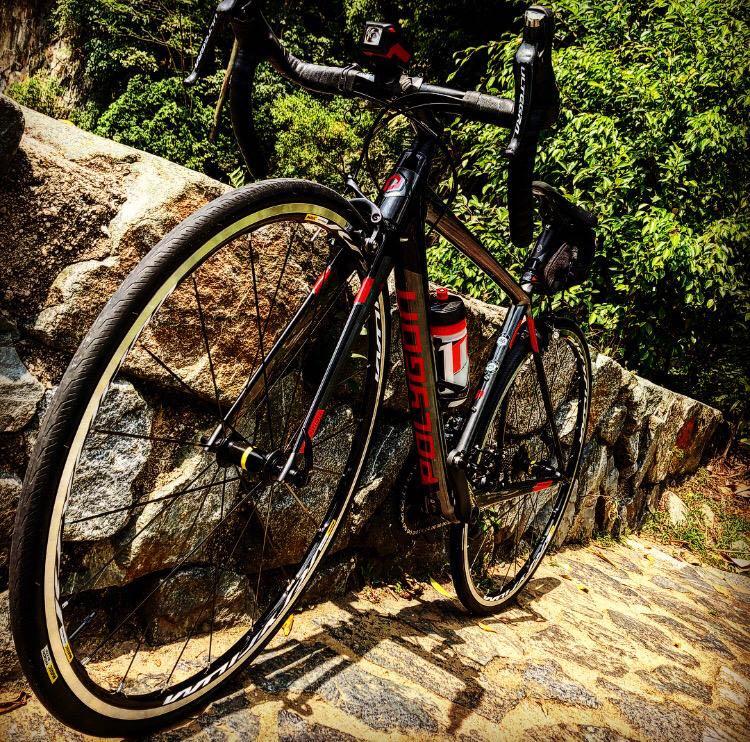 Polygon Helios LT8 2019 Sports Equipment Bicycles Parts Bicycles on Carousell