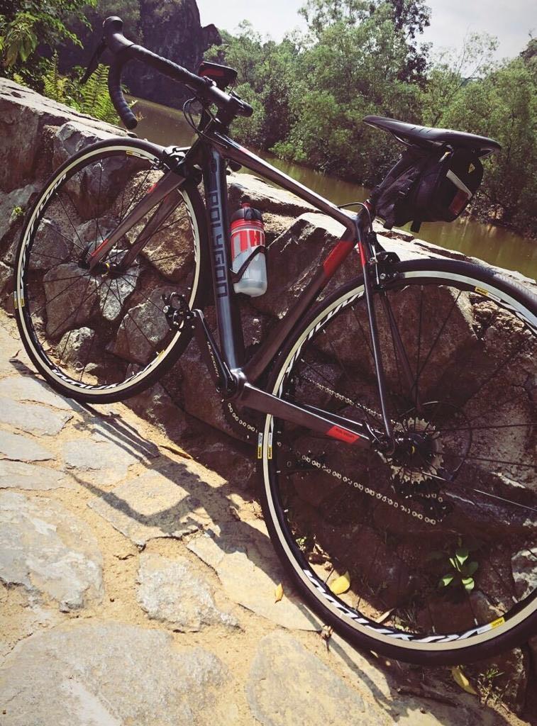 Polygon lt8 2025