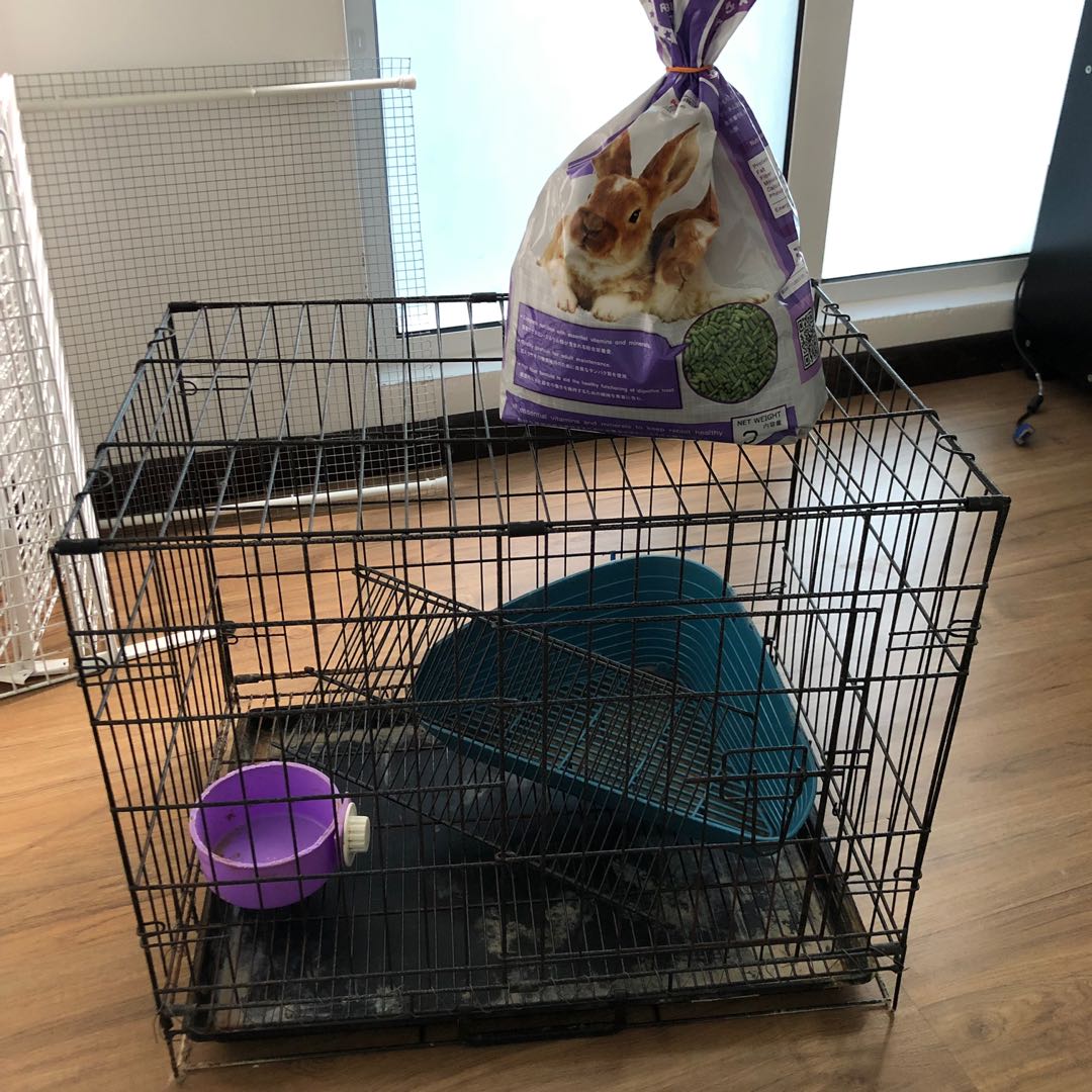 Used Rabbit Cage + Free 1.5KG rabbit food!, Pet Supplies, Homes & Other