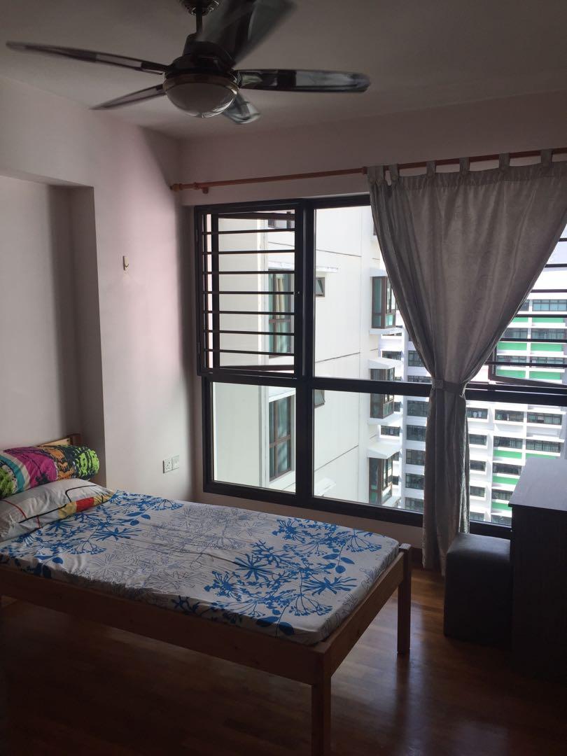 Nice Common Room for Rent Fernvale Residence (Sengkang), Property