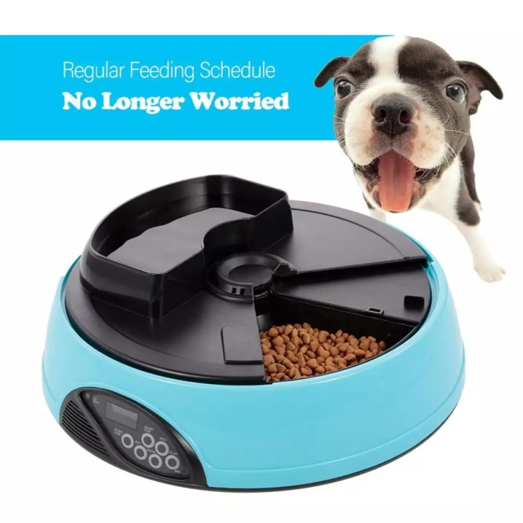 Automatic Pet Feeder On Carousell