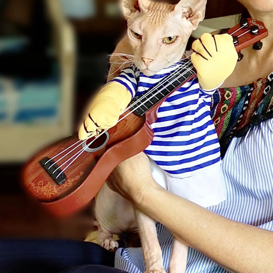 Cat playing guitar costume online