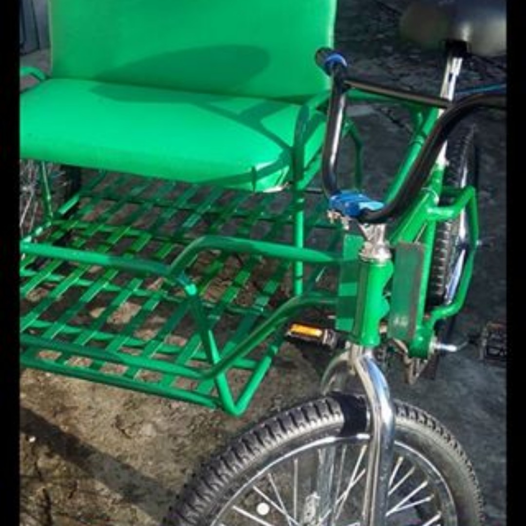 bicycle sidecar for sale