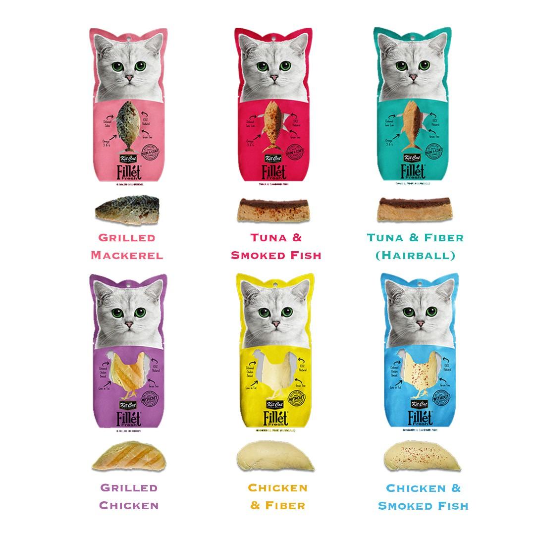 Kit Cat Fillet Fresh Pet Supplies For Cats Cat Food On Carousell