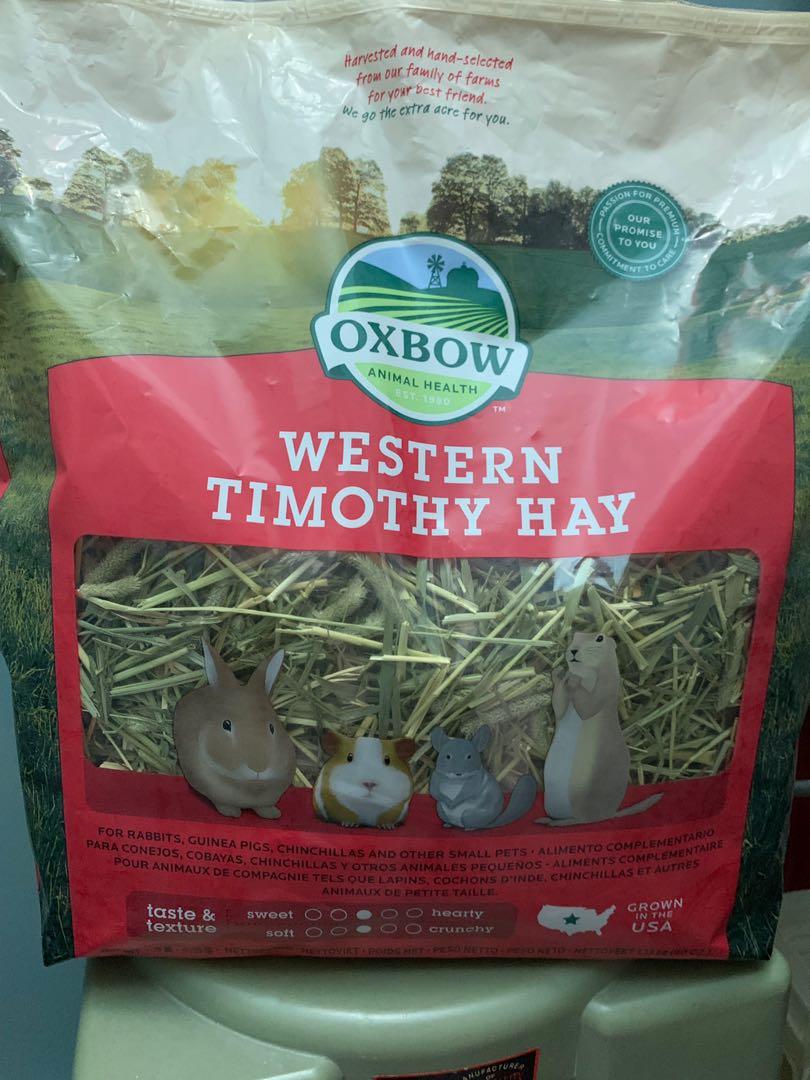 Oxbow Timothy Hay, Pet Supplies, Pet Food on Carousell