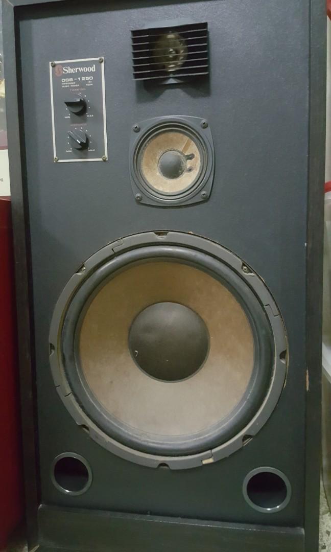 Sherwood DSS 1250 Speaker, Audio, Soundbars, Speakers & Amplifiers on