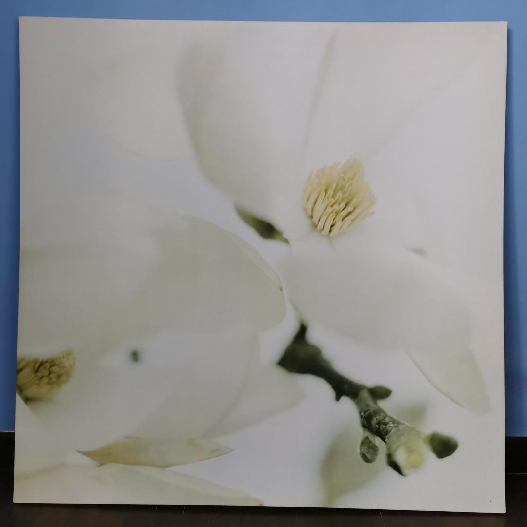 Ikea Pjatteryd Wall Art Picture Pink Magnolia Furniture Home Decor Others On Carousell
