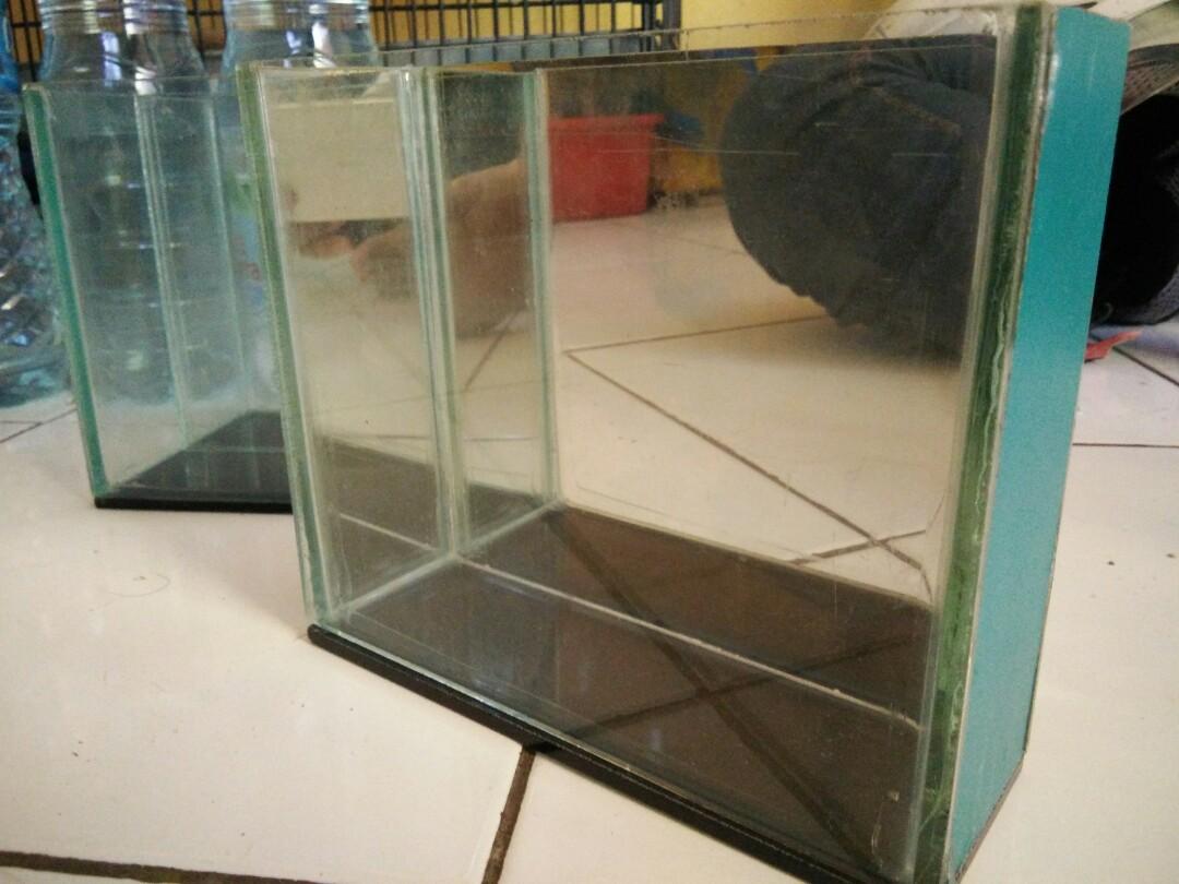 Soliter Selfie Kaca Pet Supplies Accessories On Carousell