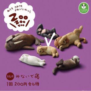 【MIN TOY】『現貨』 熊貓之穴 轉蛋 扭蛋 休眠動物園 ZooZooZoo 第六彈 擺飾 擺件 睡覺動物 全6款