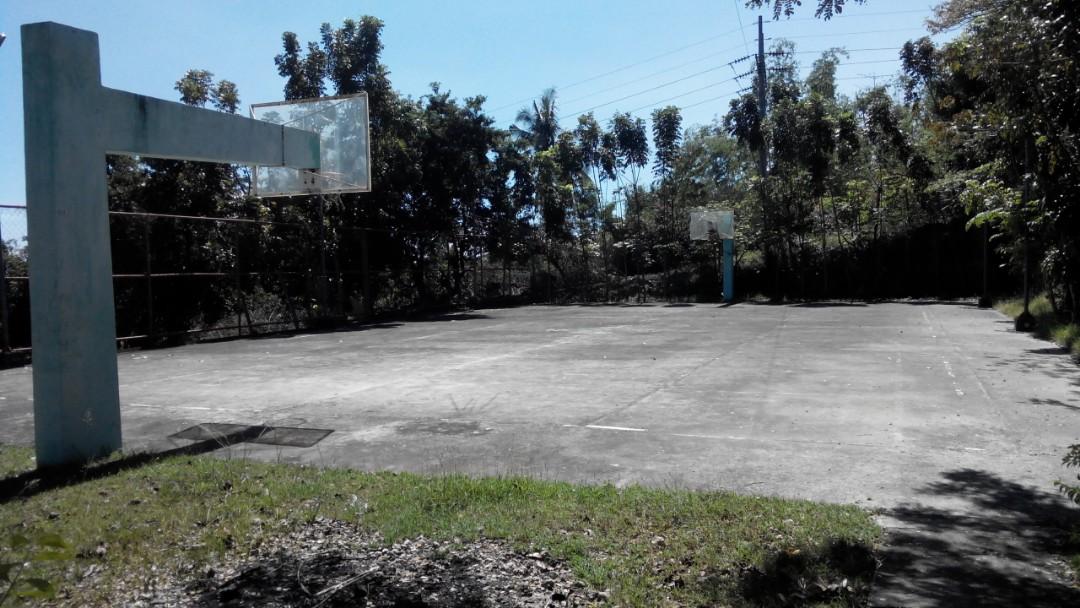 Lot For Sale Glen Rose Residential Estate (Carcar City Cebu