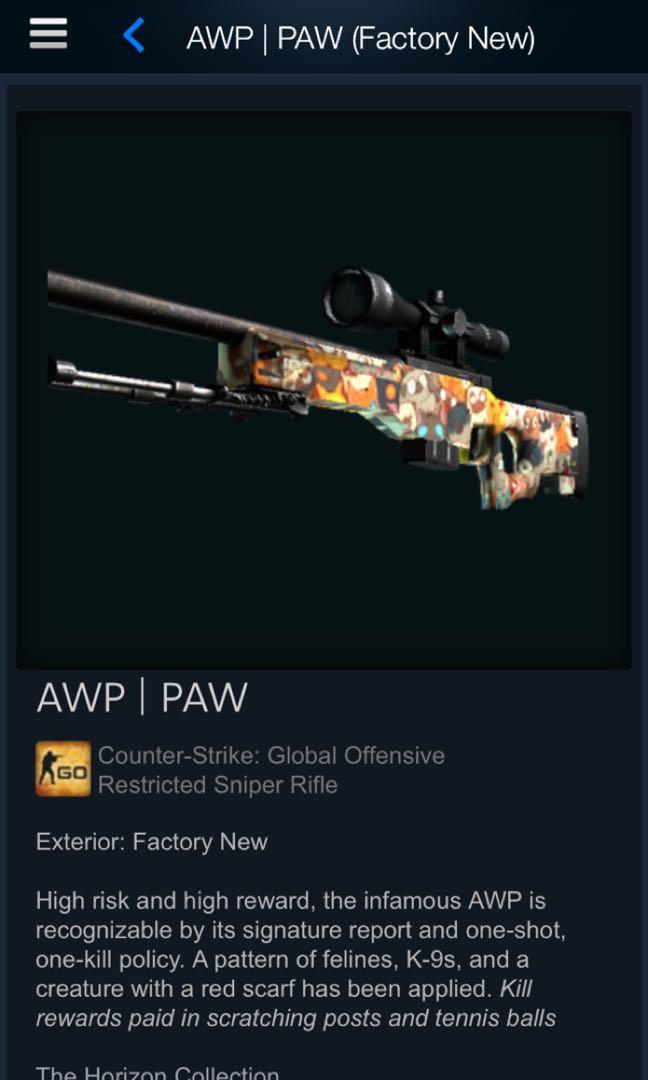 Modig Hovedløse Afdæk Csgo AWP PAW FN, Video Gaming, Gaming Accessories, Game Gift Cards &  Accounts on Carousell