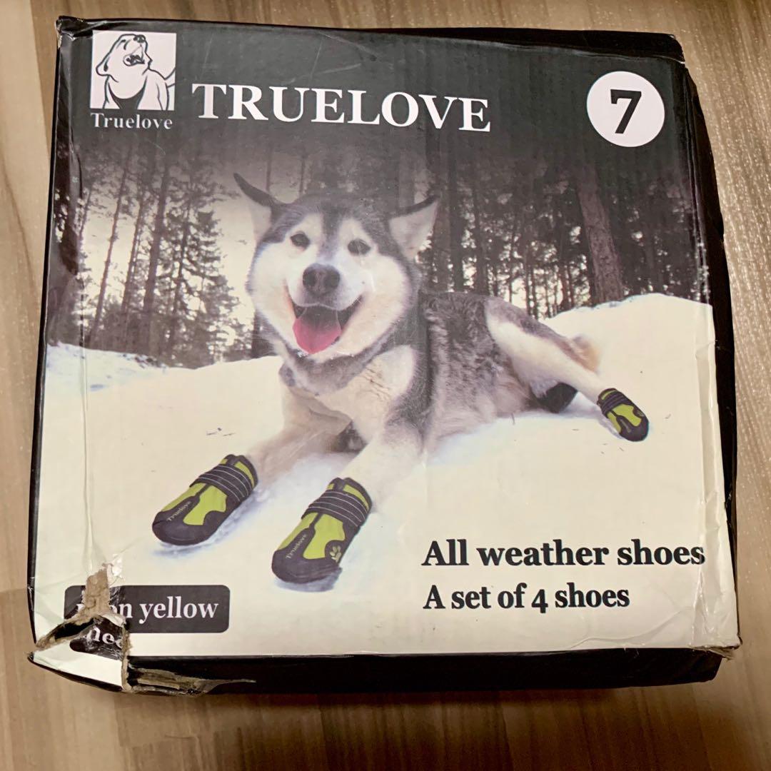 river shoes for dogs