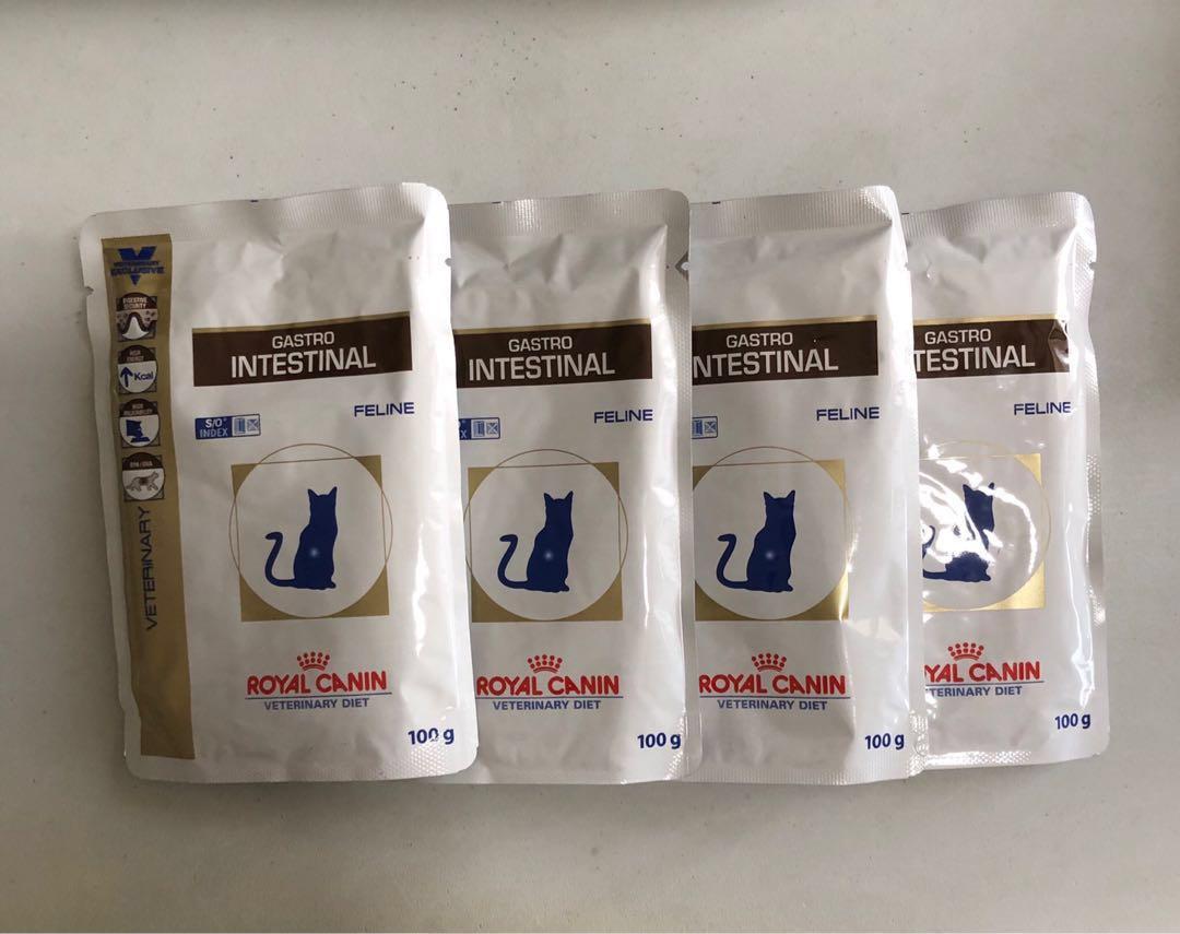 Royal Canin Gastro Intestinal Feline 100g Pet Supplies For Cats Cat Food On Carousell