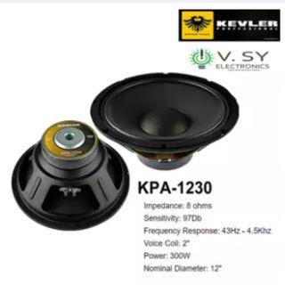 instrumental speaker for sale