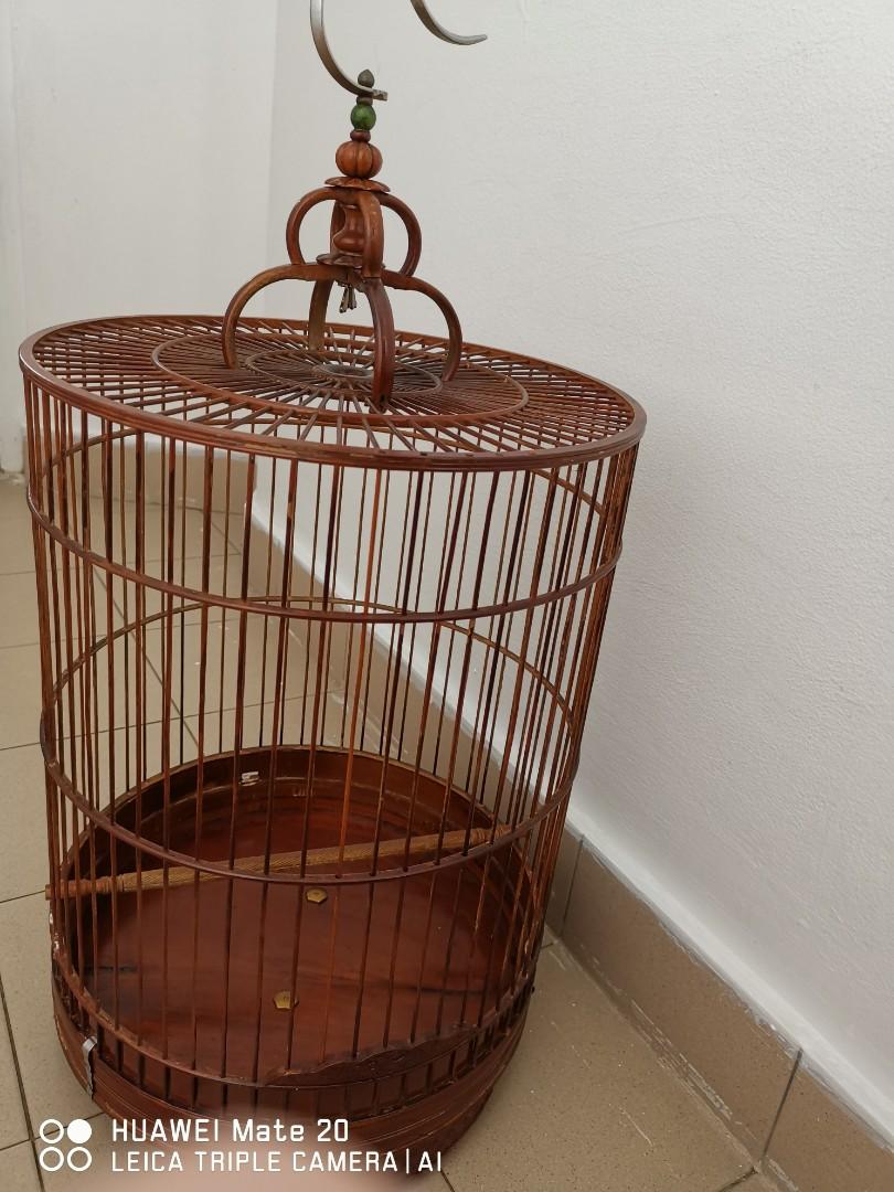 finch cages for sale