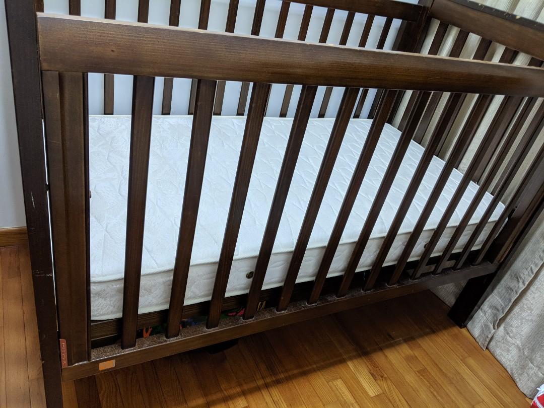 King parrot boori cot 2025