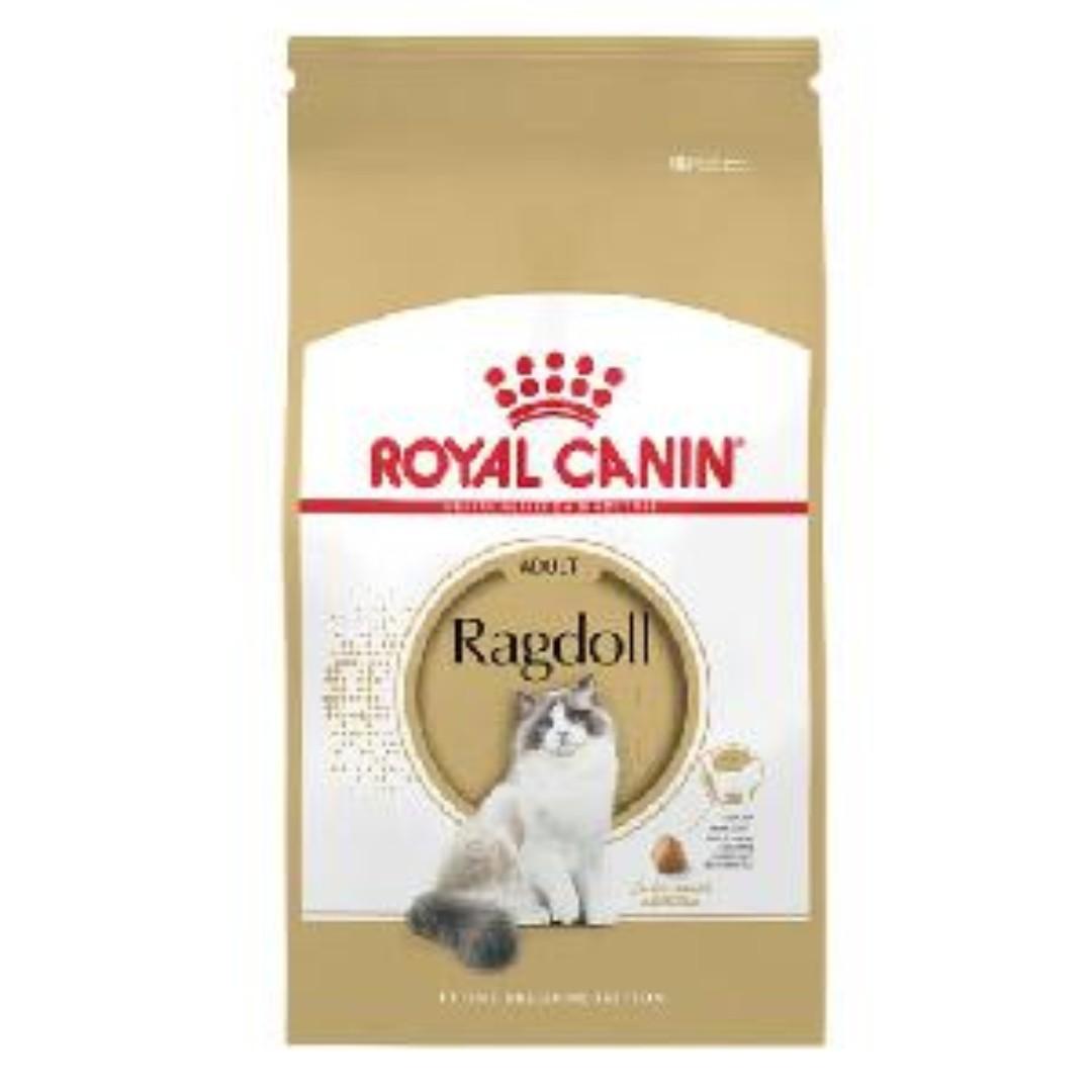 ragdoll royal canin 10kg