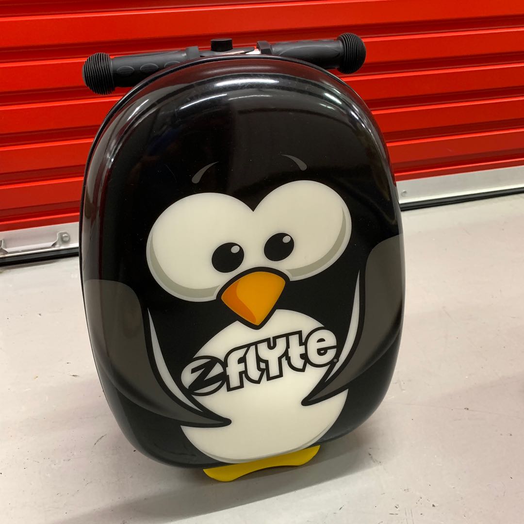 zinc flyte sale