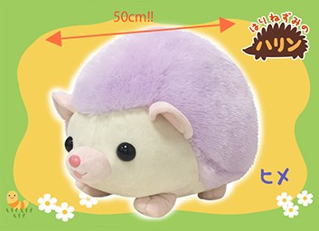 amuse hedgehog plush
