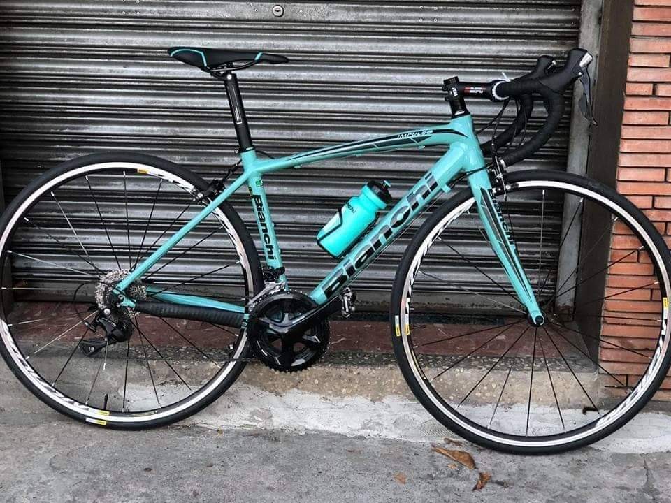 bianchi impulso size guide