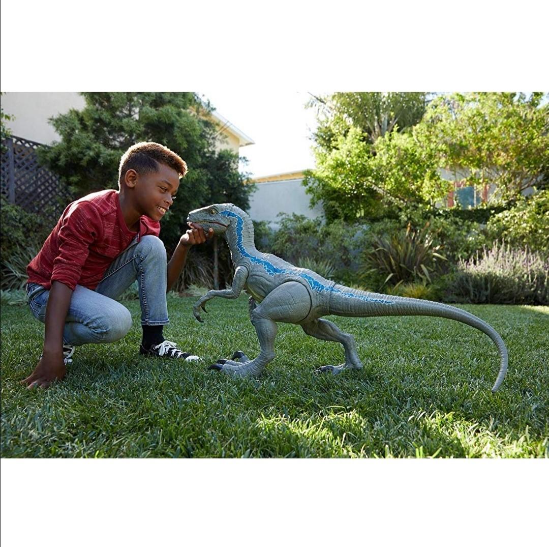 Sold Jurassic World Super Colossal Velociraptor Blue Hobbies Toys Toys Games On Carousell