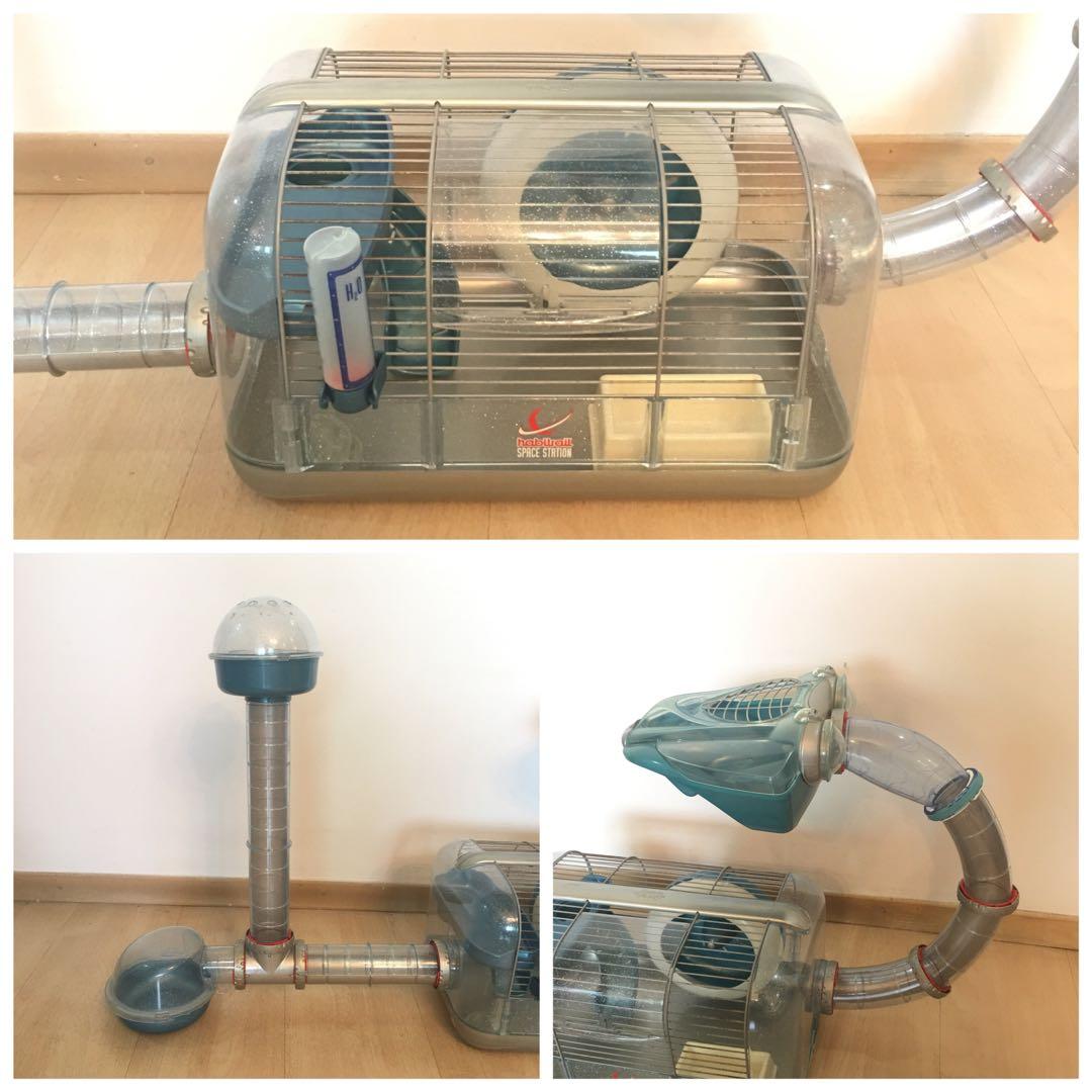 Hamster space station clearance